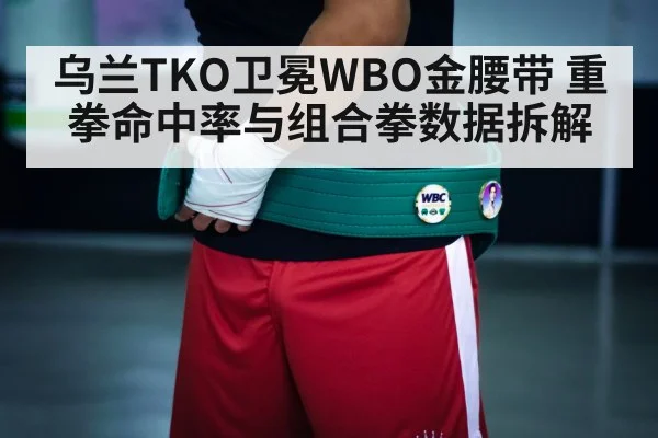 乌兰TKO卫冕WBO金腰带 重拳命中率与组合拳数据拆解