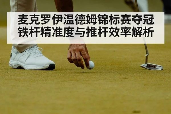 麦克罗伊温德姆锦标赛夺冠 铁杆精准度与推杆效率解析